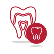 Endodoncia - IKONIC Dental Terrassa